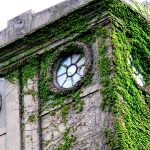 Overgrown